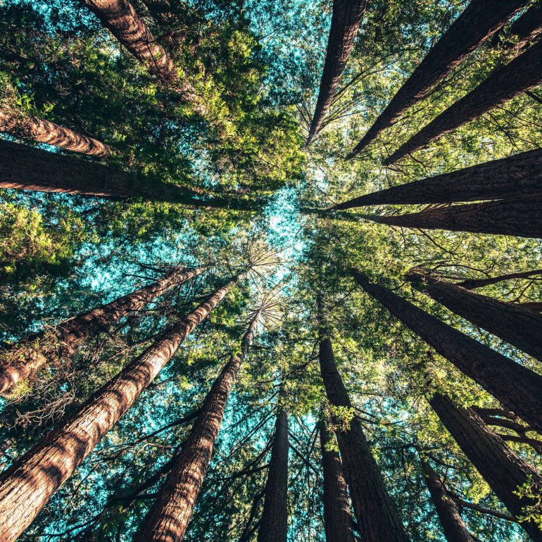 casey-horner-487085-unsplash-e1546424618328.jpg